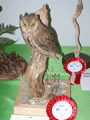 2010-otus